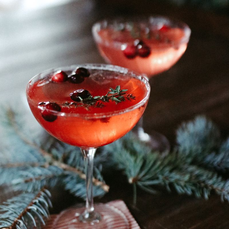 Cranberry Fizz Cocktail - Heyday