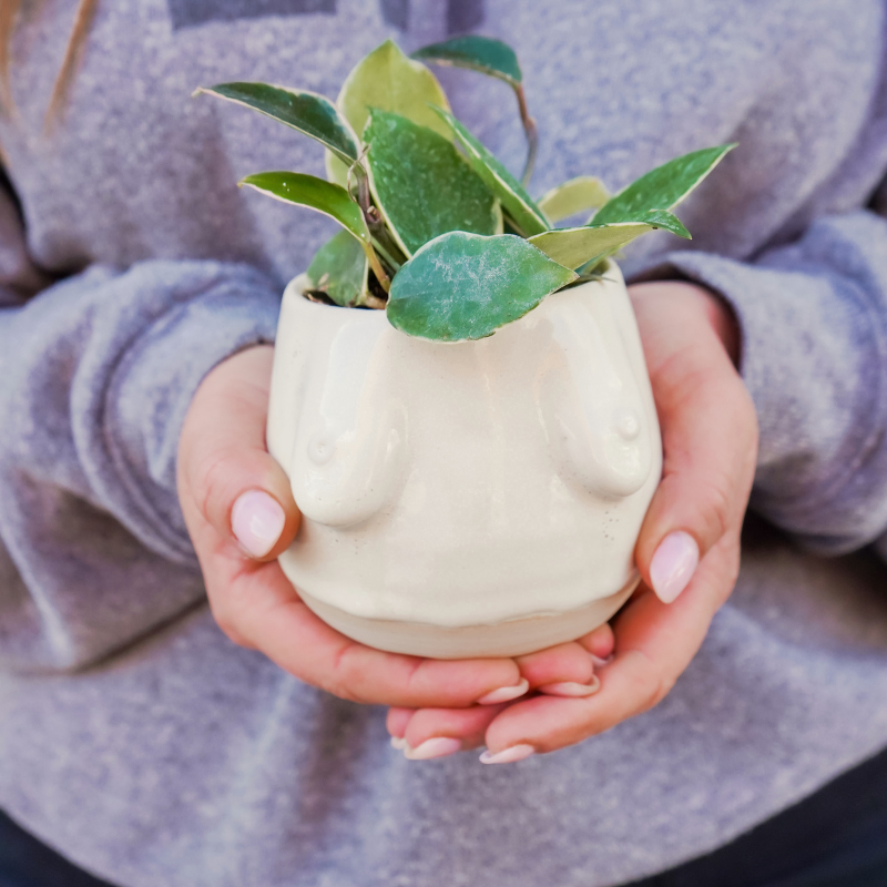 Boob Candle Planter