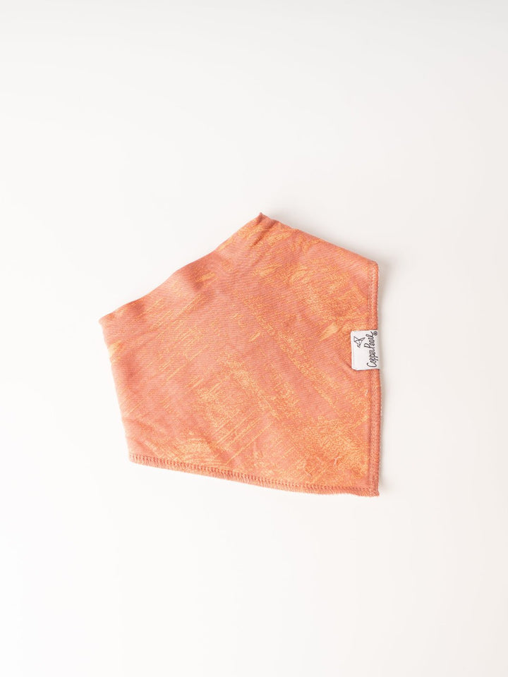 Bison Bandana Bib Set - Heyday