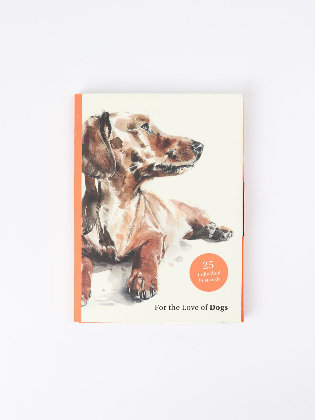 For the Love of Dogs Postcard Set - Heyday