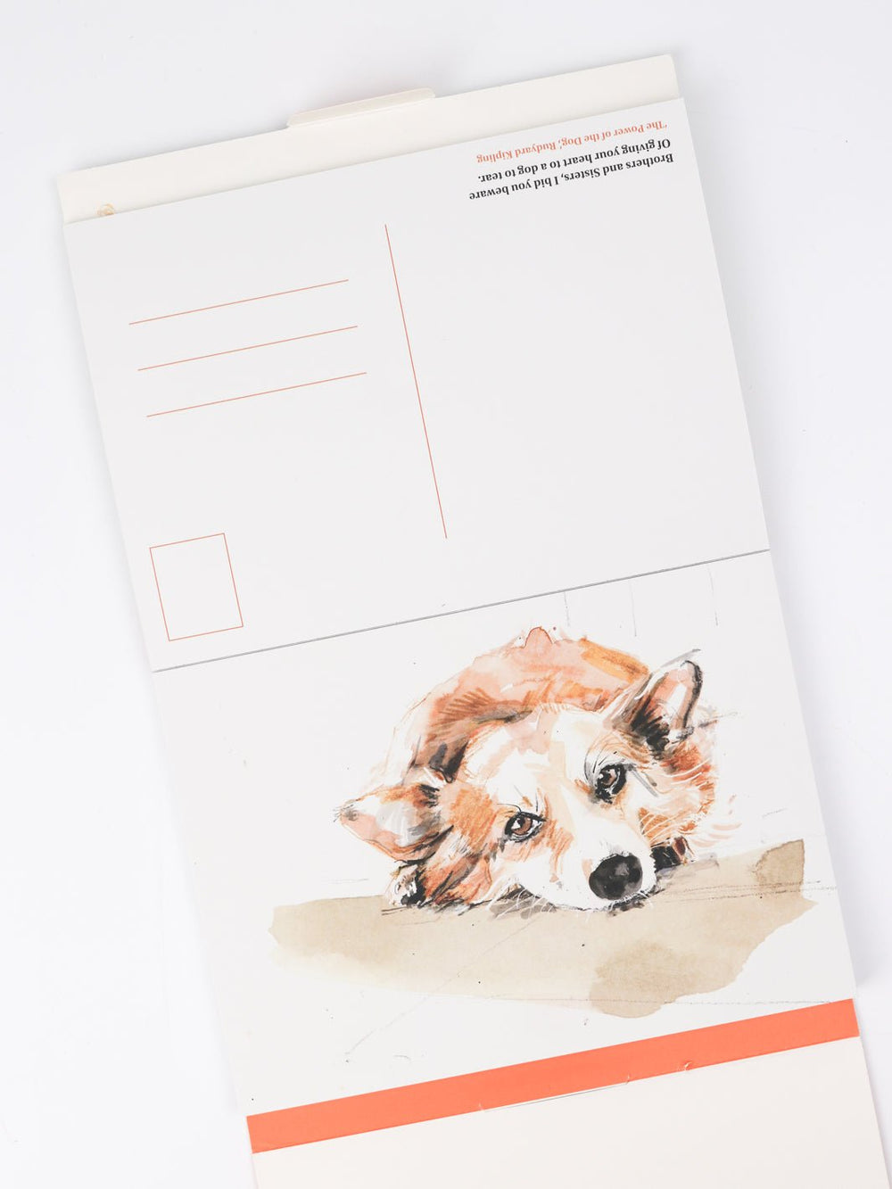 For the Love of Dogs Postcard Set - Heyday