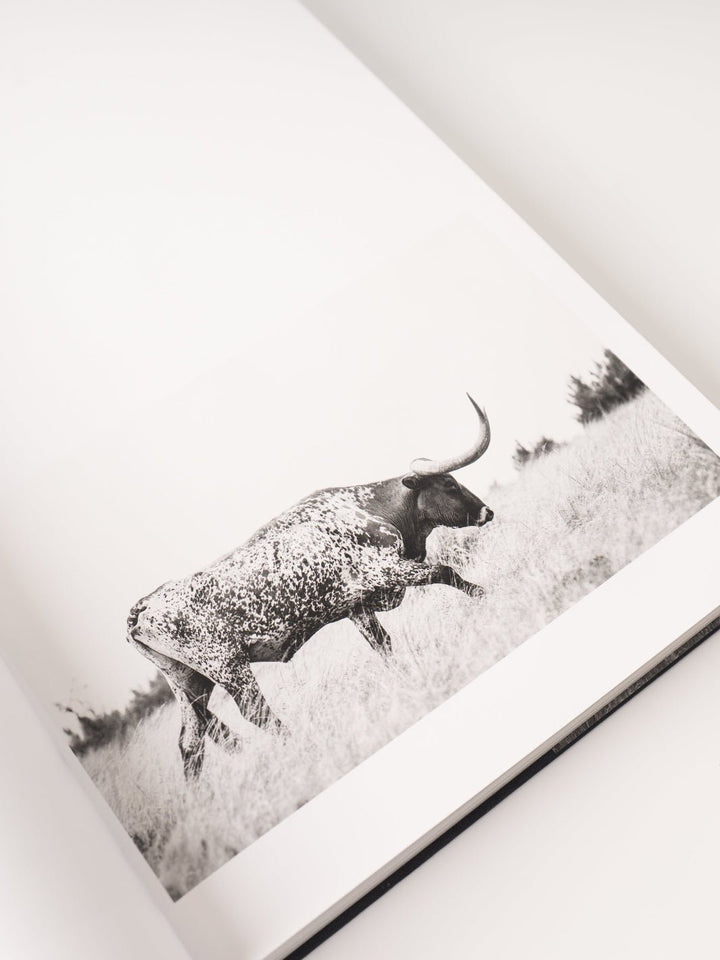 West: The American Cowboy Book - Heyday