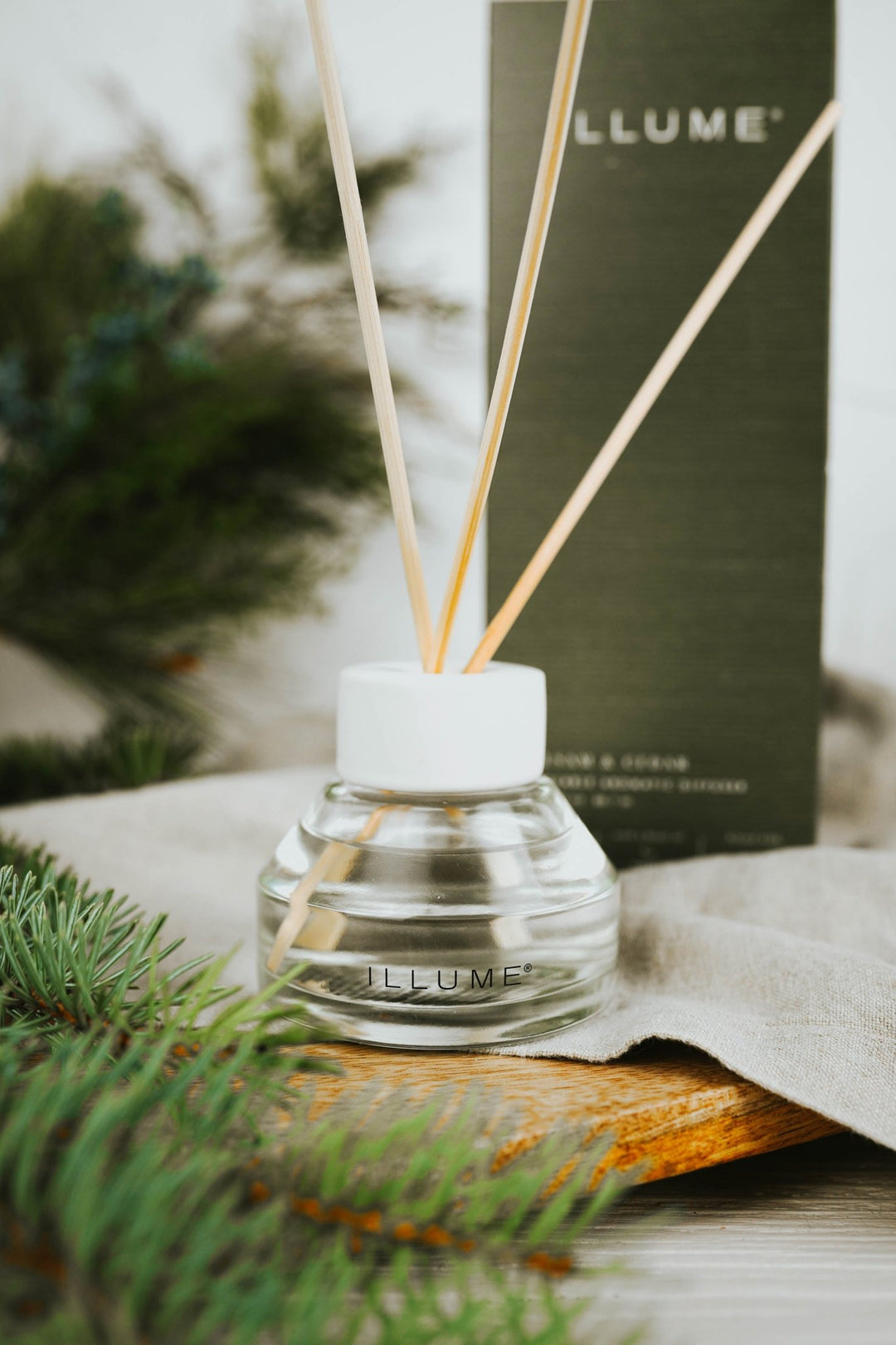 Balsam + Cedar Reed Diffuser - Heyday