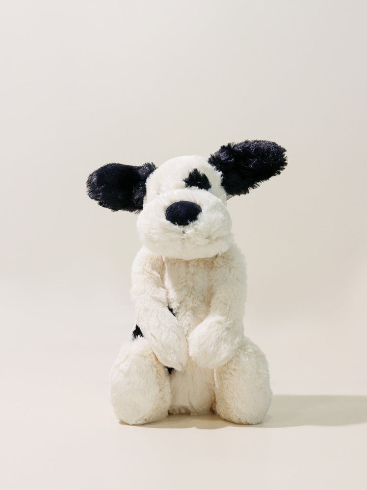 Bashful Spot Puppy - Heyday