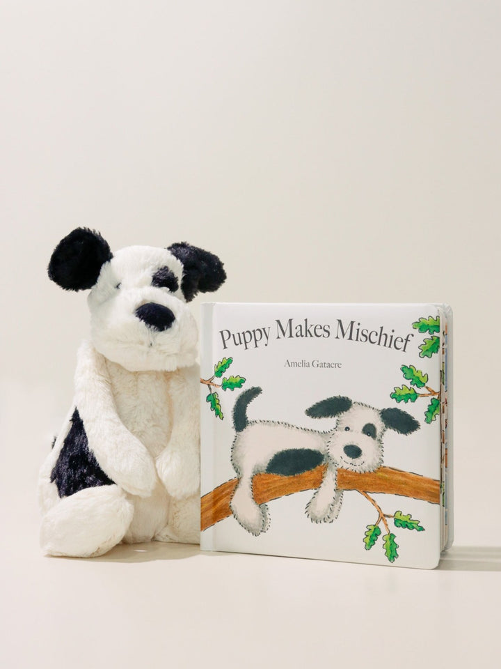 Bashful Spot Puppy - Heyday