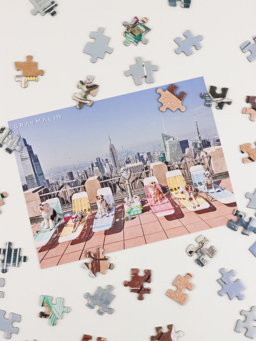City Dogs Puzzle - Heyday