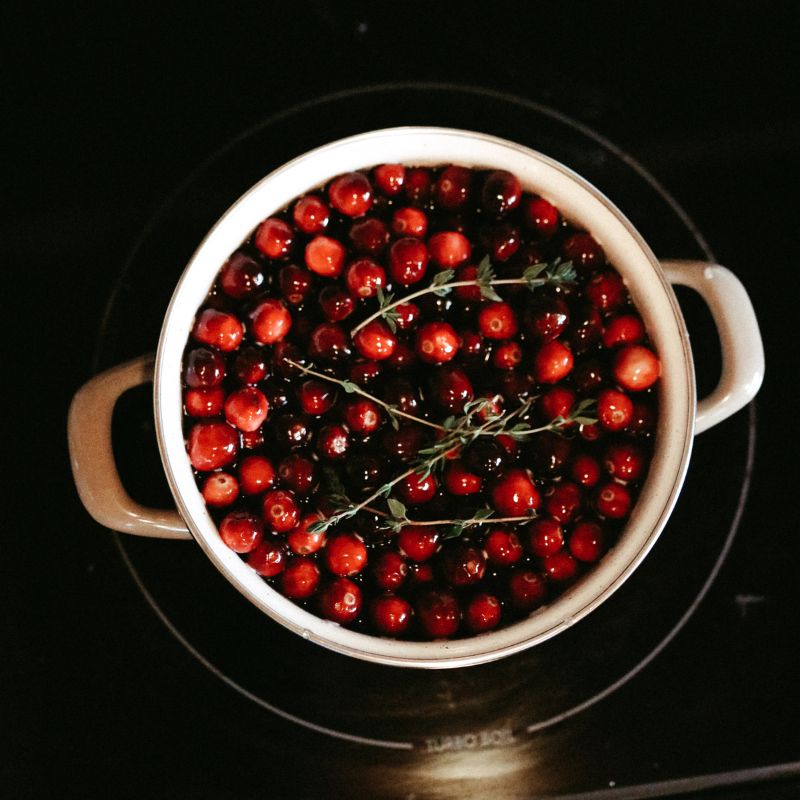 Cranberry Fizz Cocktail cooking - Heyday