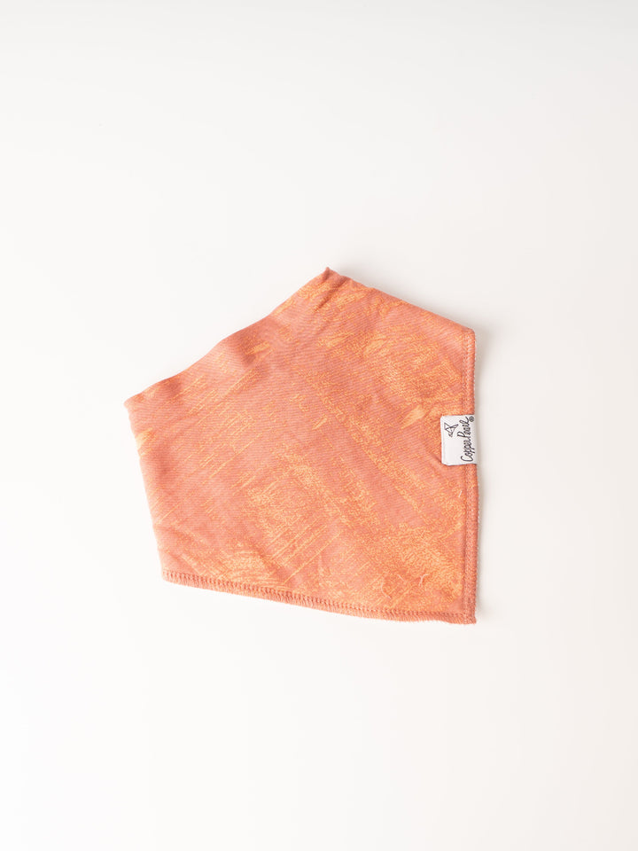 Bison Bandana Bib Set