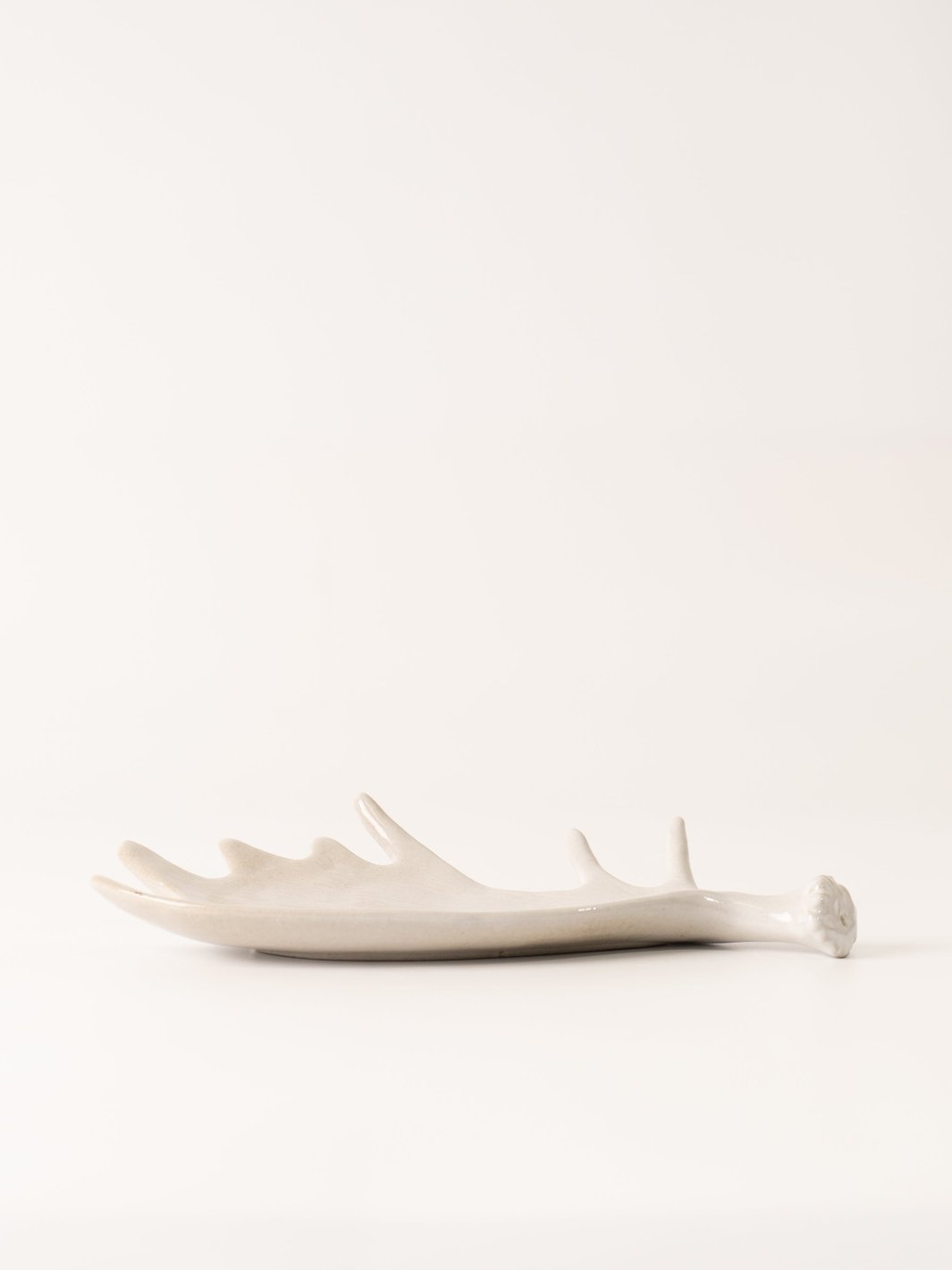 Grey Moose Antler Plate