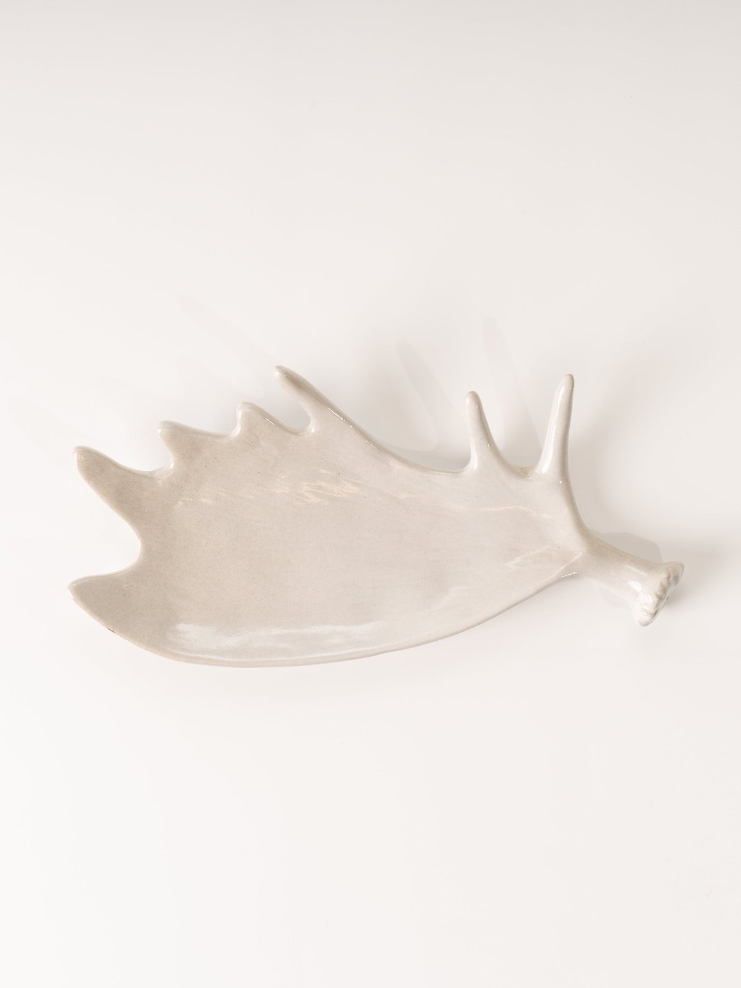 Grey Moose Antler Plate