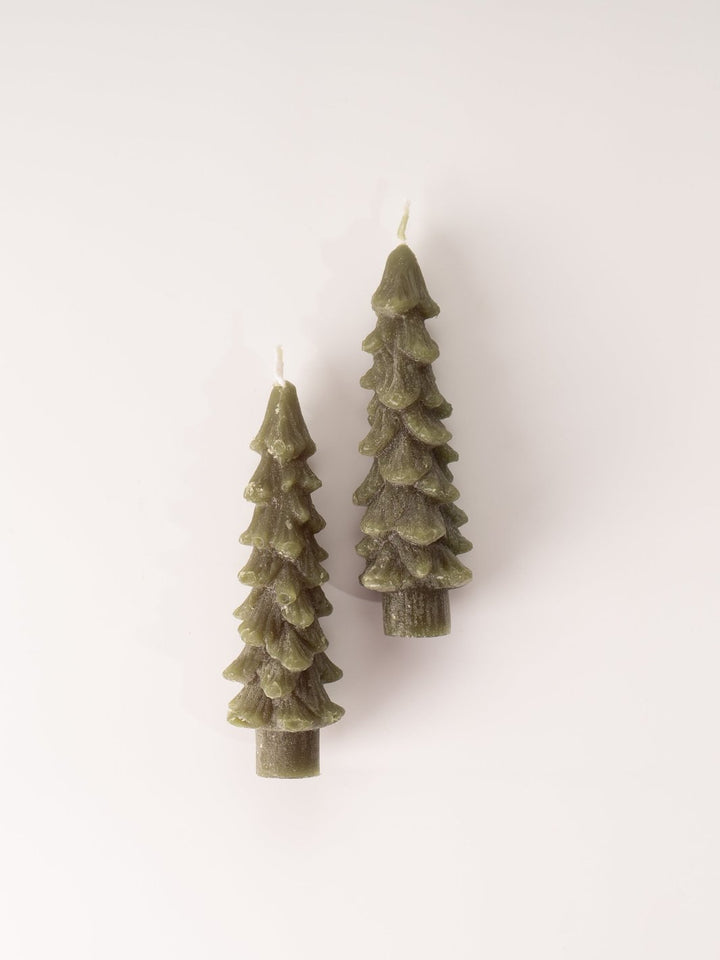 Evergreen Tree Taper Candles - Short