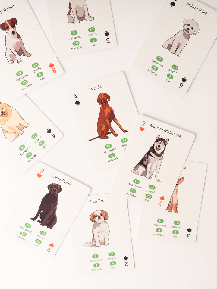 Paws + Play Playing Cards