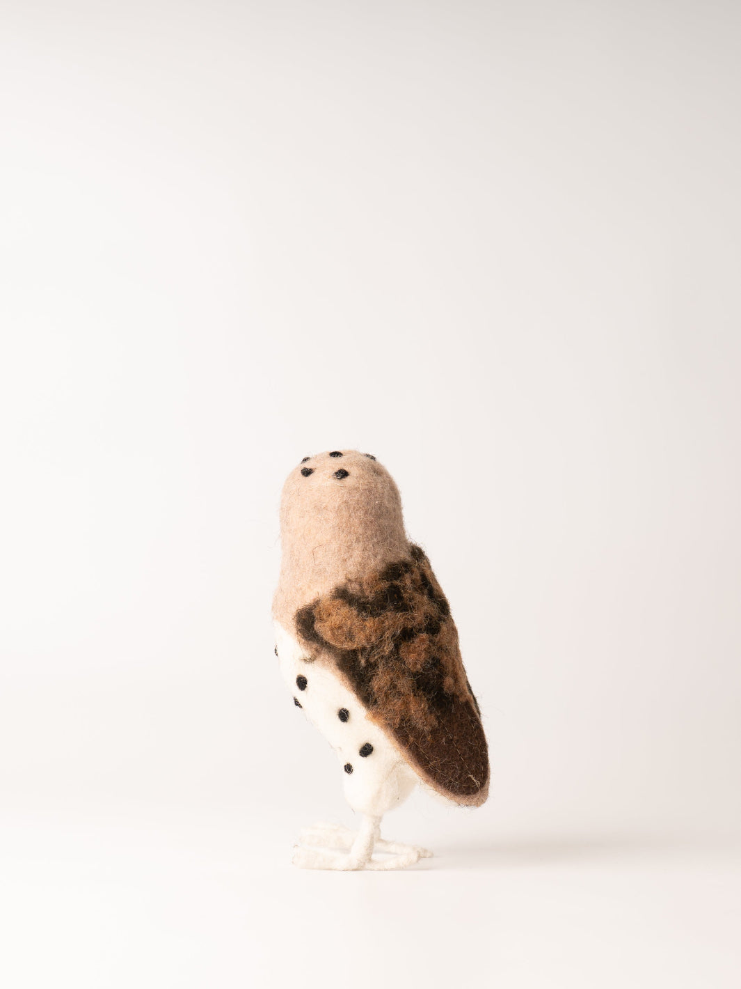 Spotted Barn Owl