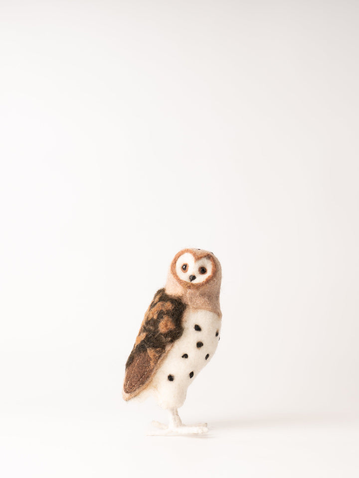 Spotted Barn Owl