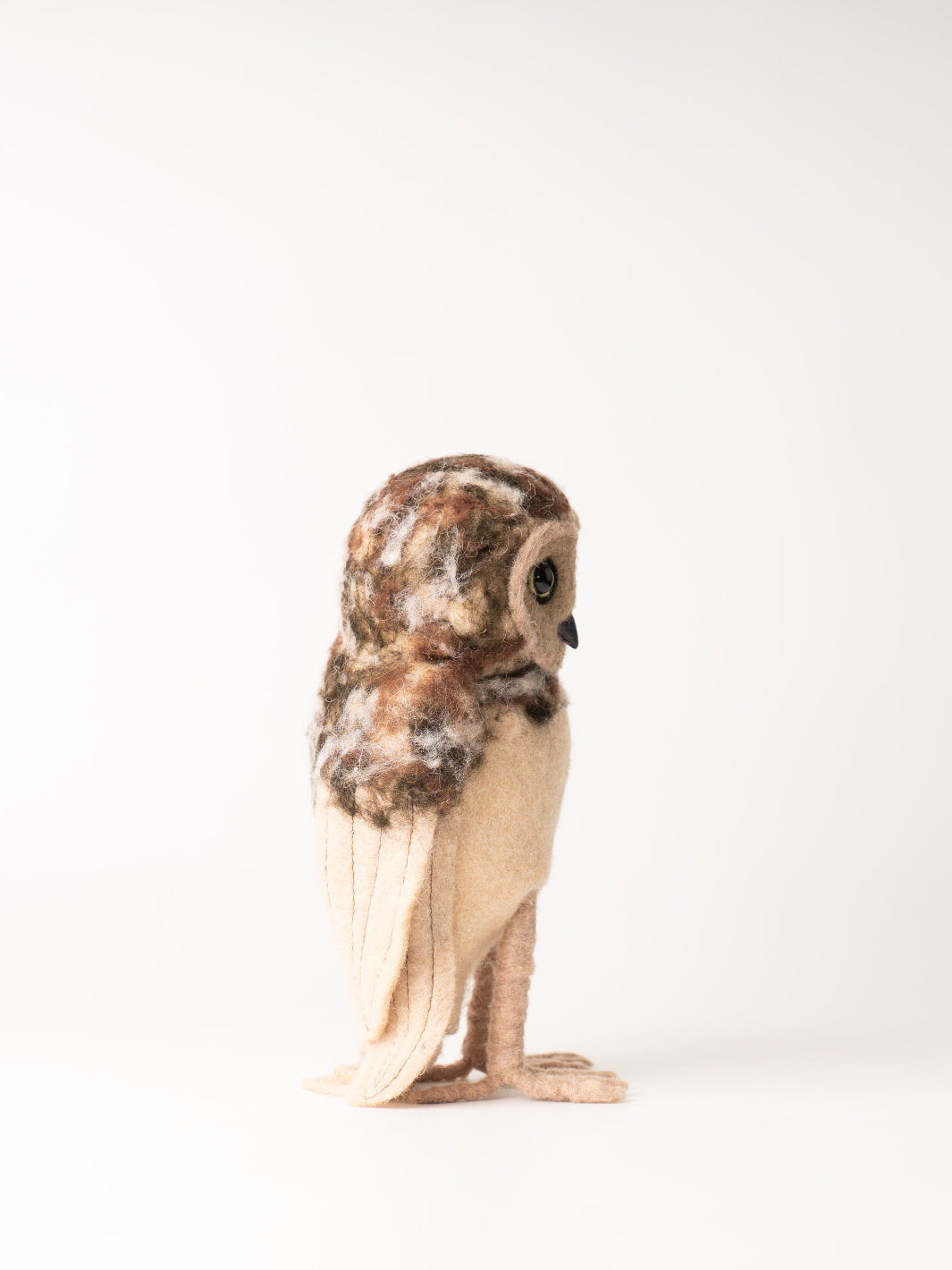 Brown Barn Owl
