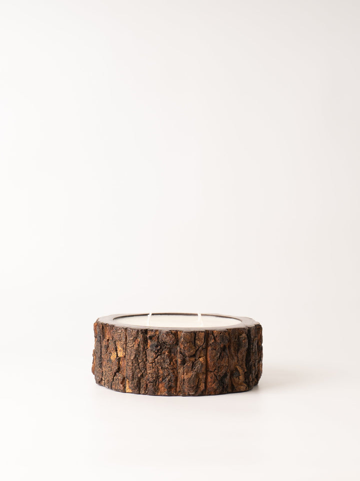 Medium Grapefruit Pine Tree Bark Candle