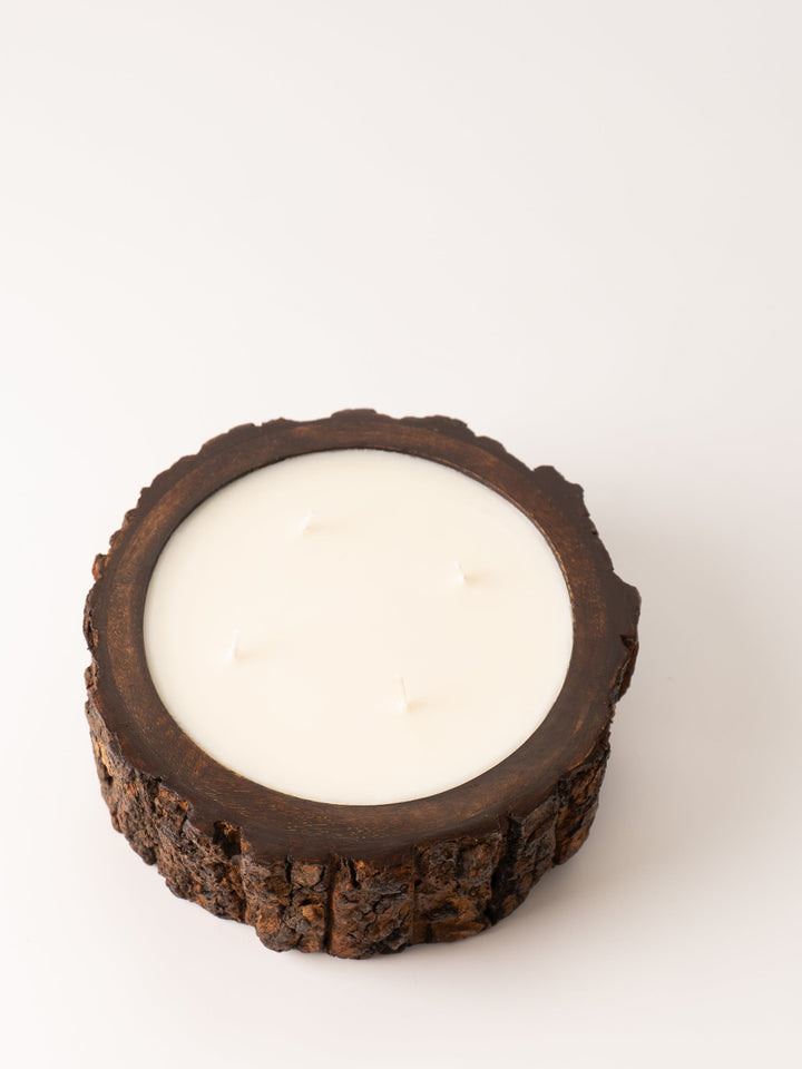 Medium Grapefruit Pine Tree Bark Candle