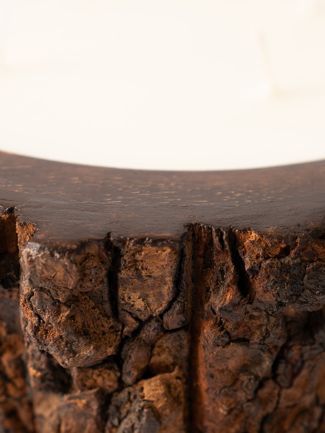 Medium Grapefruit Pine Tree Bark Candle
