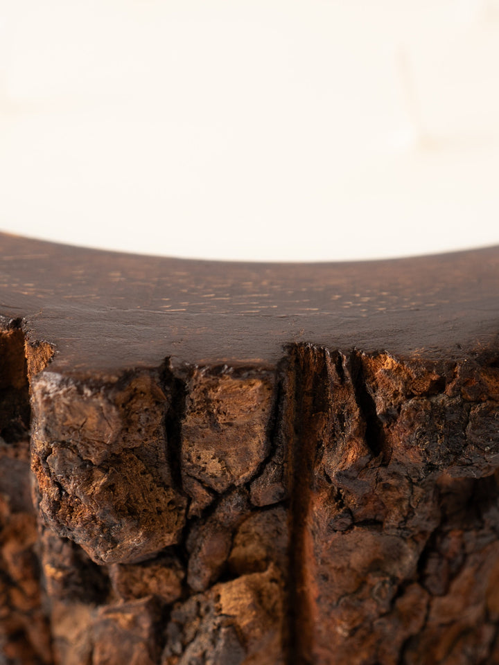 Medium Grapefruit Pine Tree Bark Candle