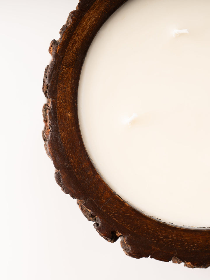 Medium Grapefruit Pine Tree Bark Candle