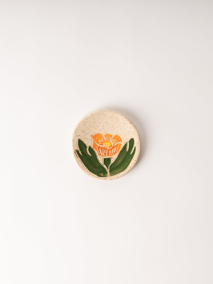 Globe Mallow Tea Rest