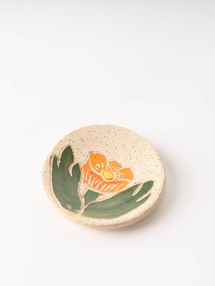 Globe Mallow Tea Rest