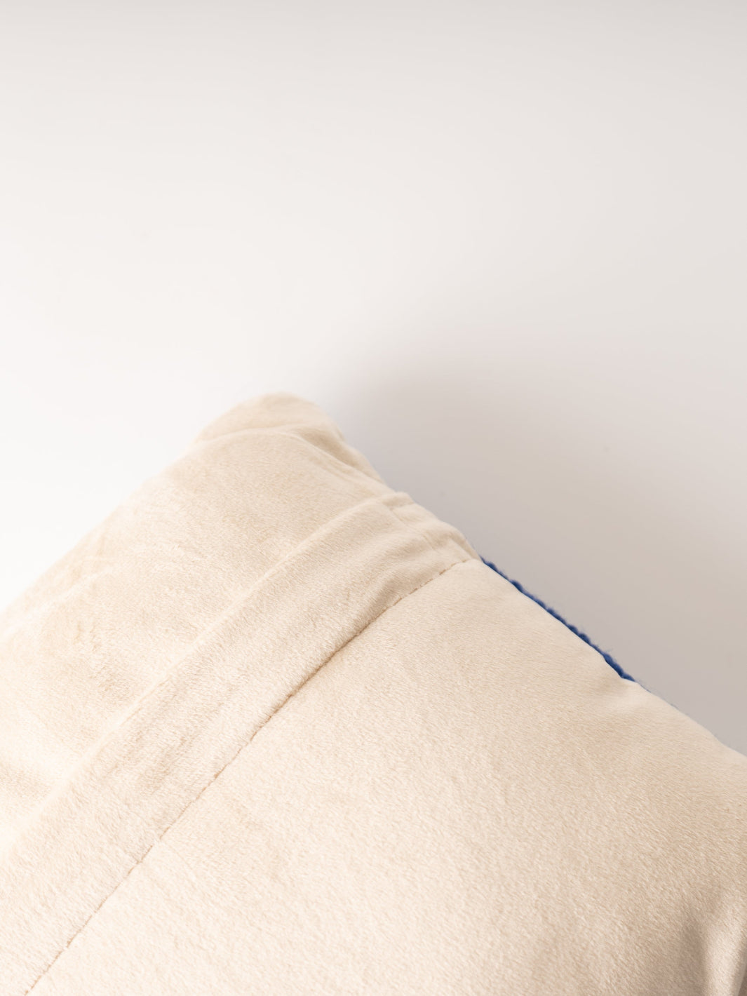 Cat Person Hook Pillow