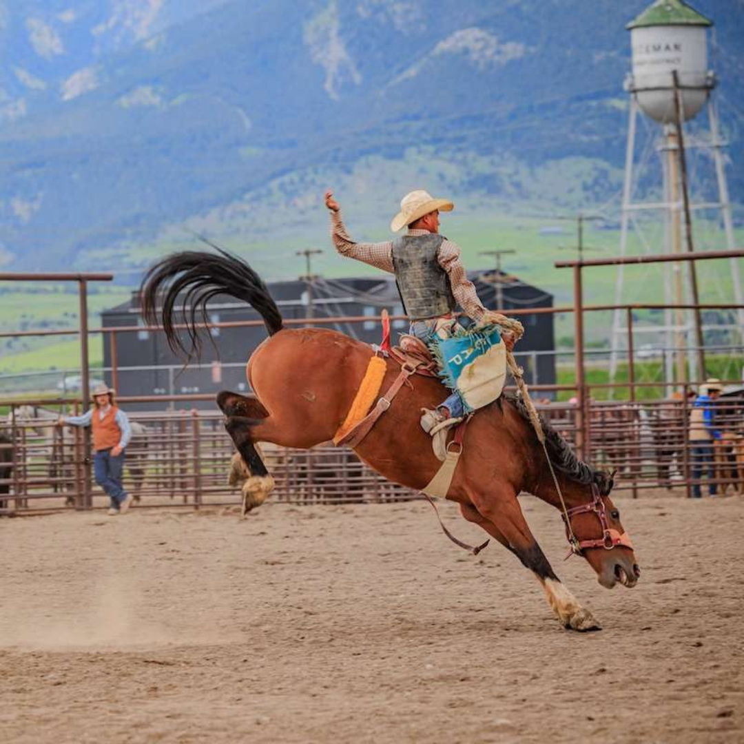 Heyday | 72 Hours in Bozeman | Valley View Rodeo