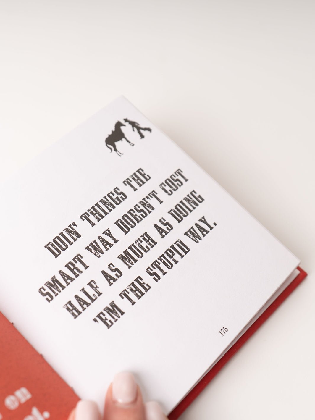 A Cowboy's Guide to Life - Heyday