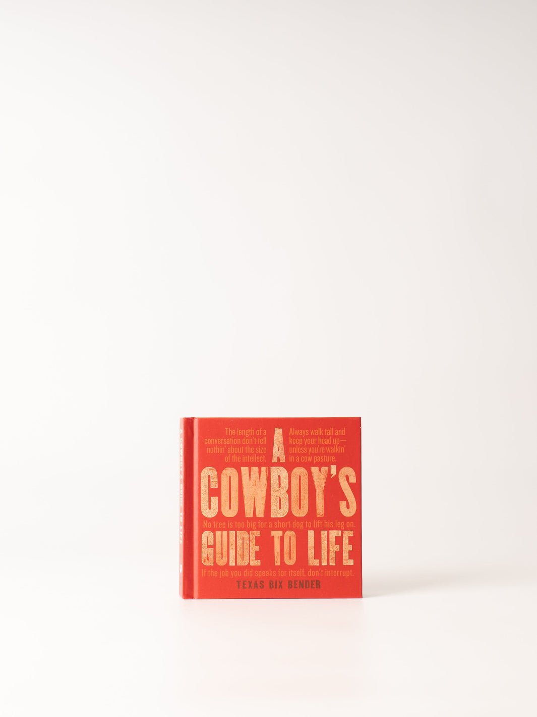 A Cowboy's Guide to Life - Heyday