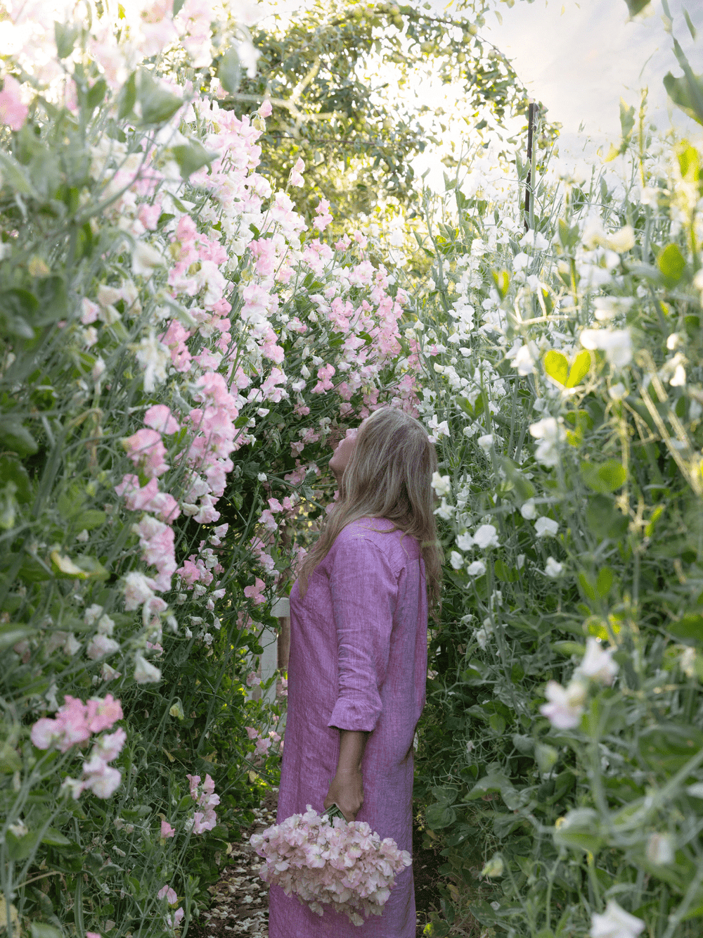 A Sweet Pea Morning with Marryn Mathis Workshop - Heyday