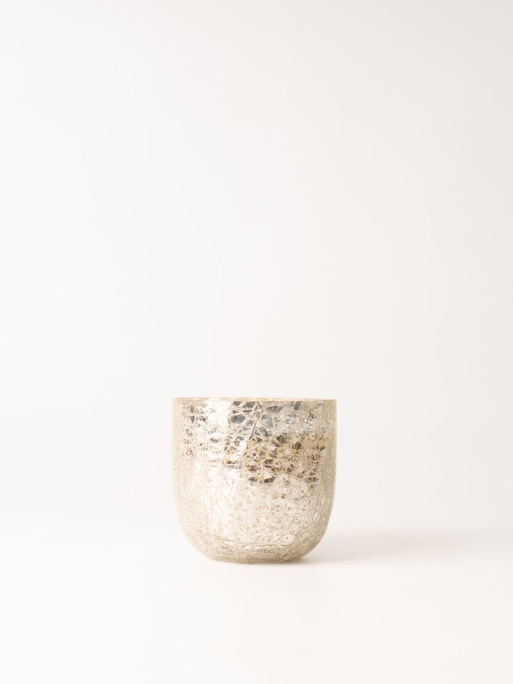 Balsam + Cedar Large Crackle Glass Candle - Heyday