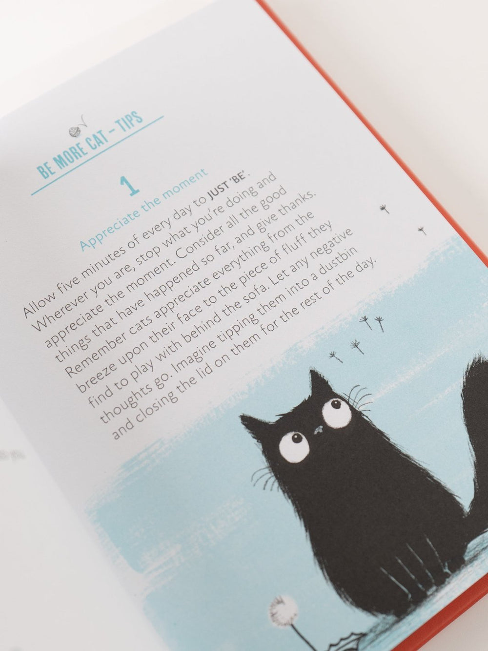 Be More Cat: Feline Wisdom for a Purr - fectly Happy Life Book - Heyday