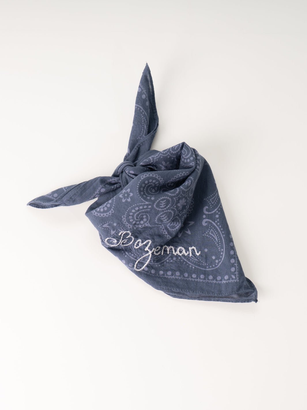 Blue Bozeman Bandana - Heyday