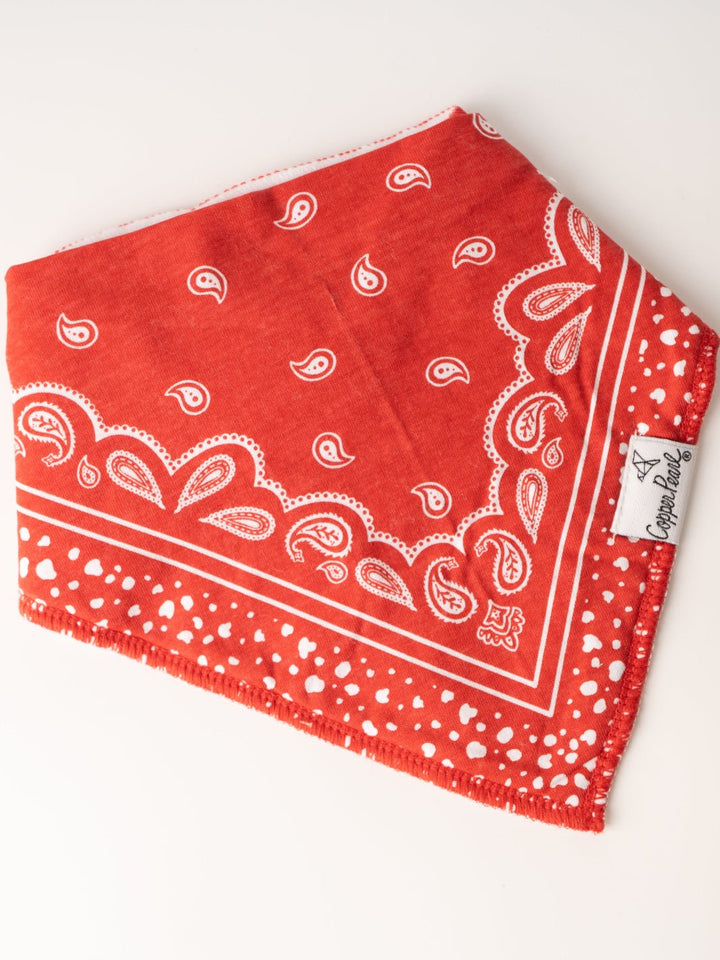 Boone Bandana Bib Set - Heyday