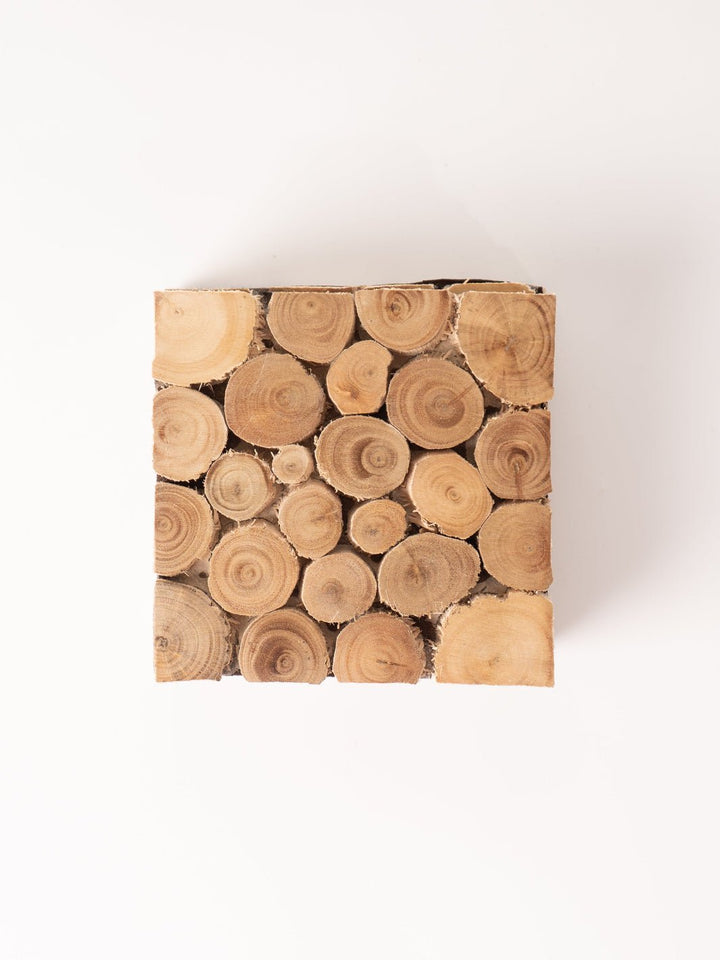 Branch Natural Wood Coaster Set - Heyday