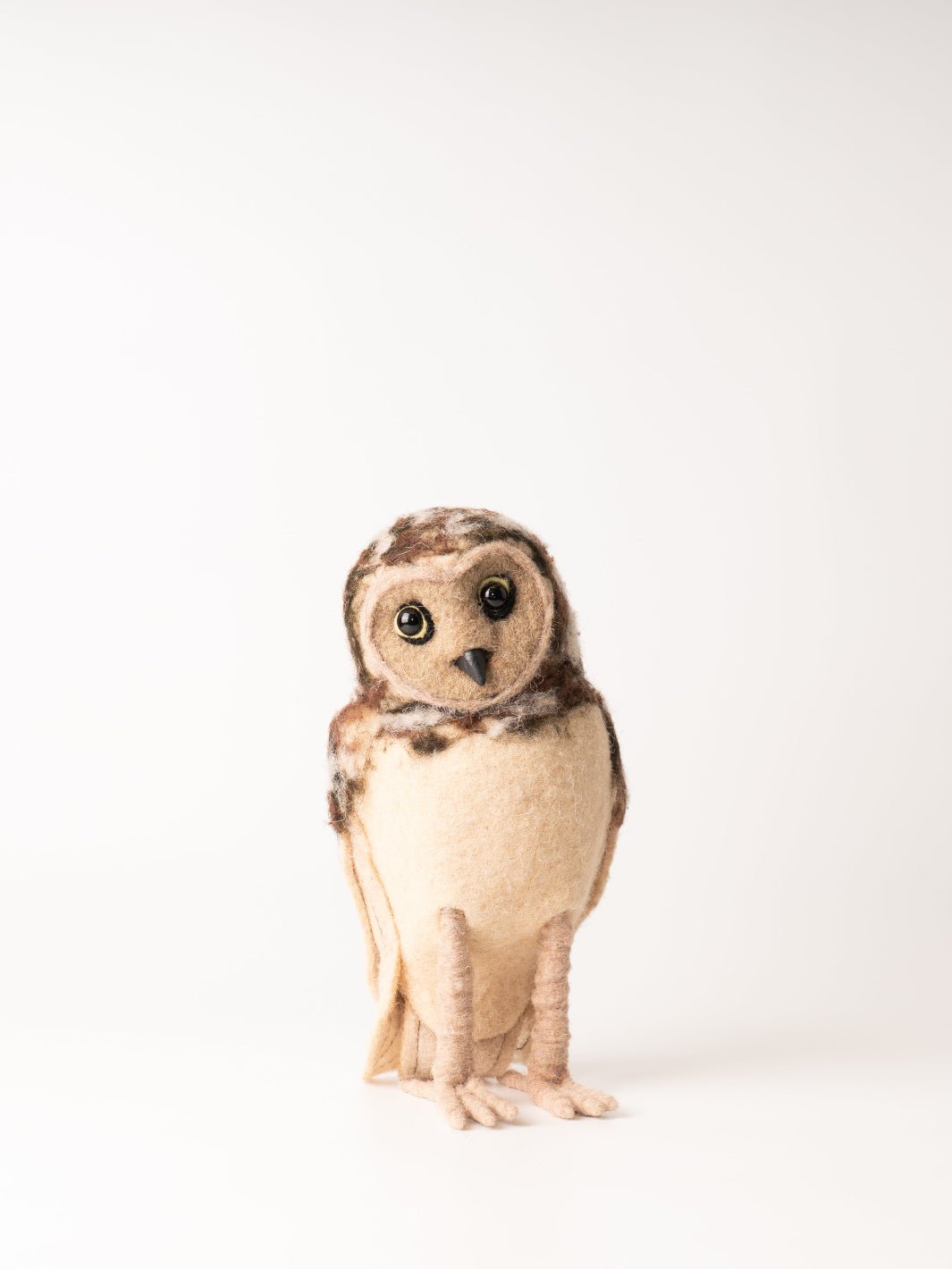 Brown Barn Owl - Heyday