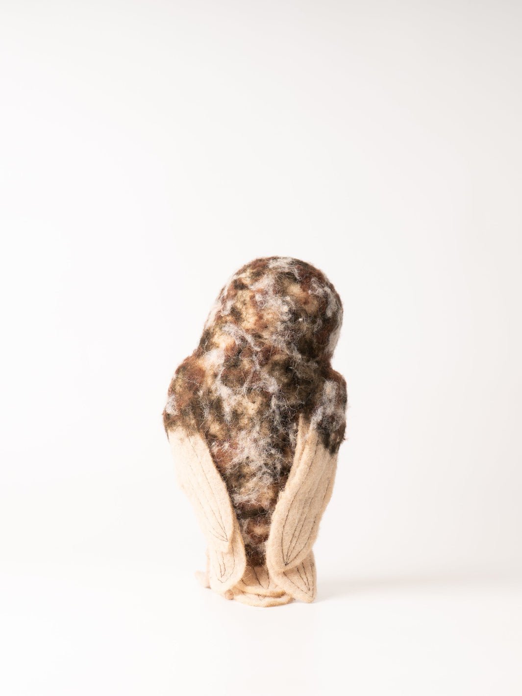 Brown Barn Owl - Heyday