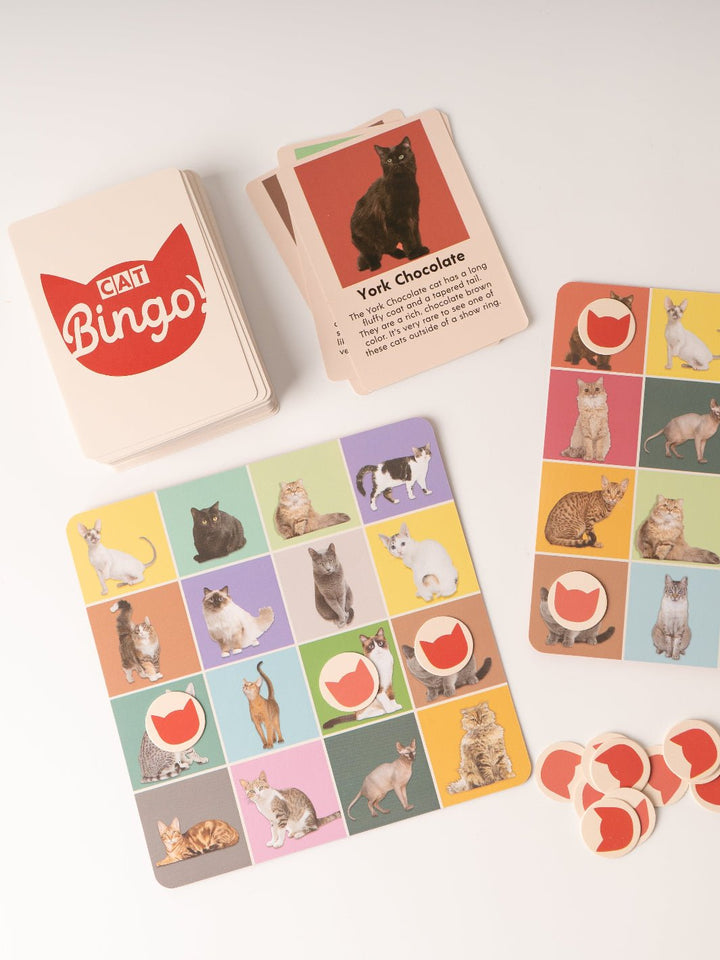 Cat Bingo Game - Heyday