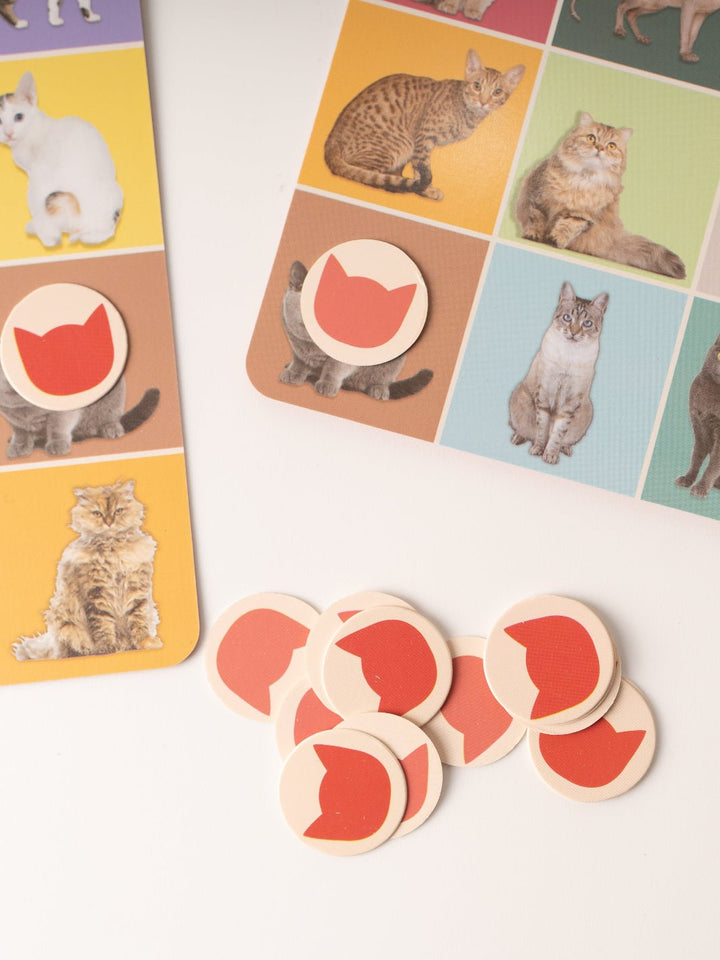 Cat Bingo Game - Heyday