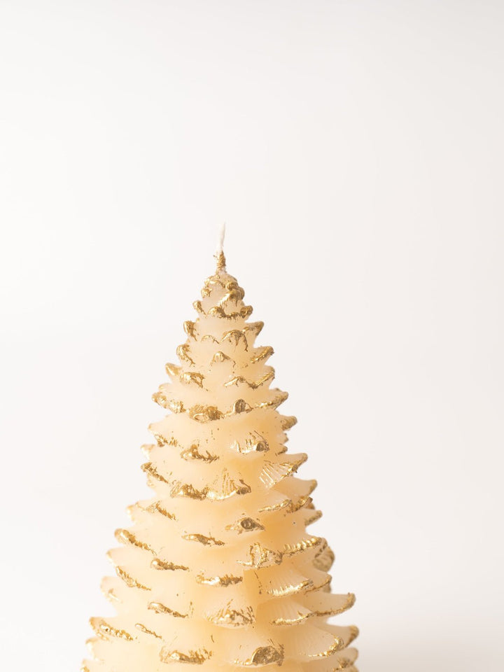 Cream + Gold Frosted Tree Taper Candle - Heyday