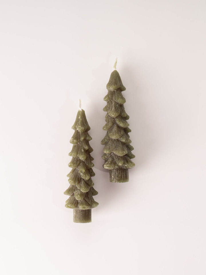 Evergreen Tree Taper Candles - Short - Heyday