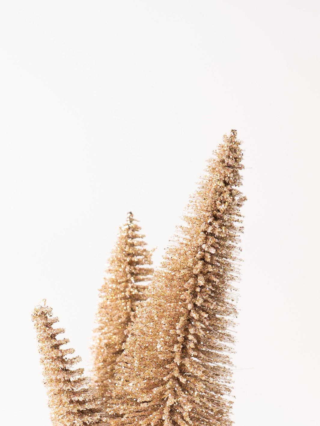 Golden Bottle Brush Tree - Heyday