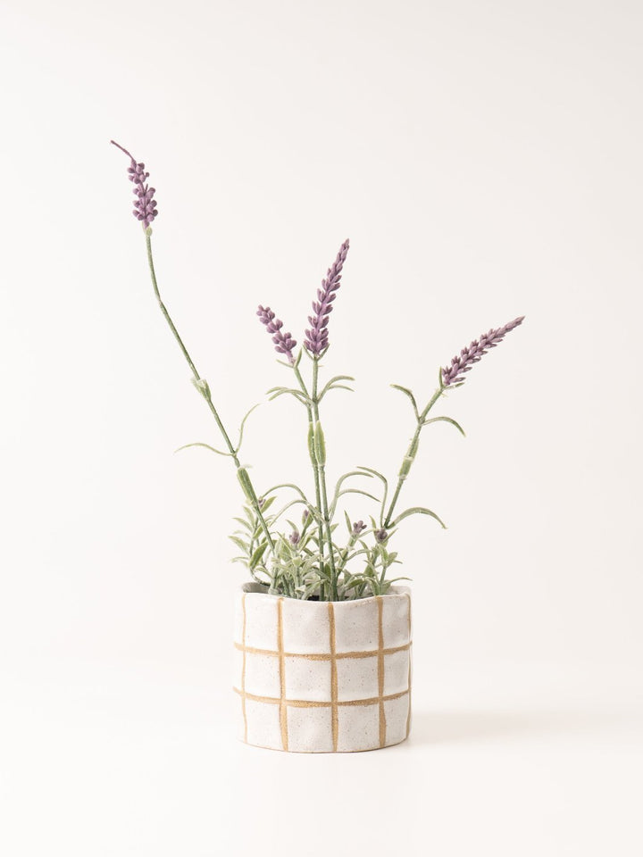 Grid Pattern Planter - Heyday