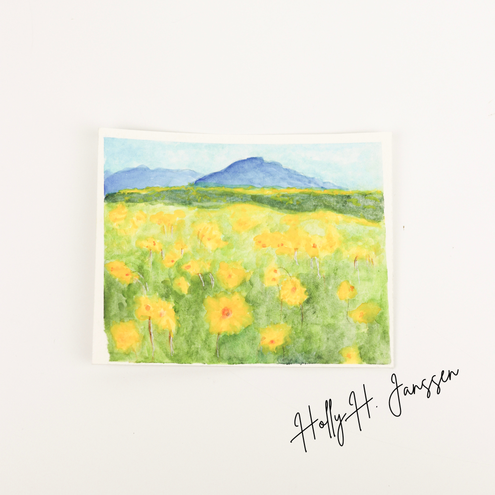 Montana Wildflower Artwork - Heyday
