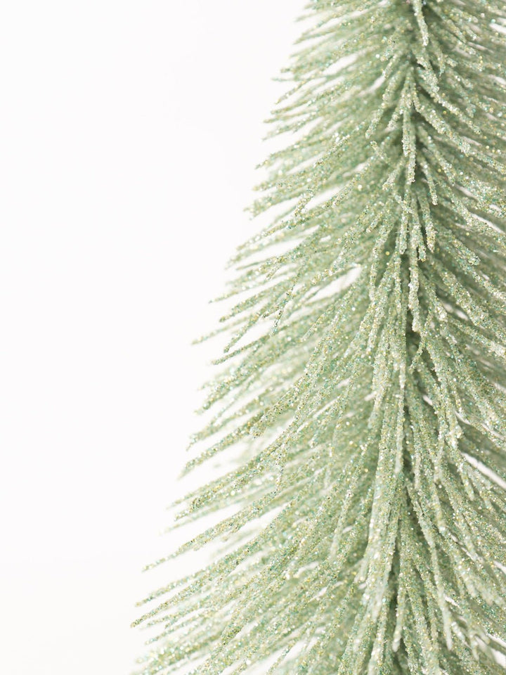 Large Mint Bottle Brush Tree - Heyday