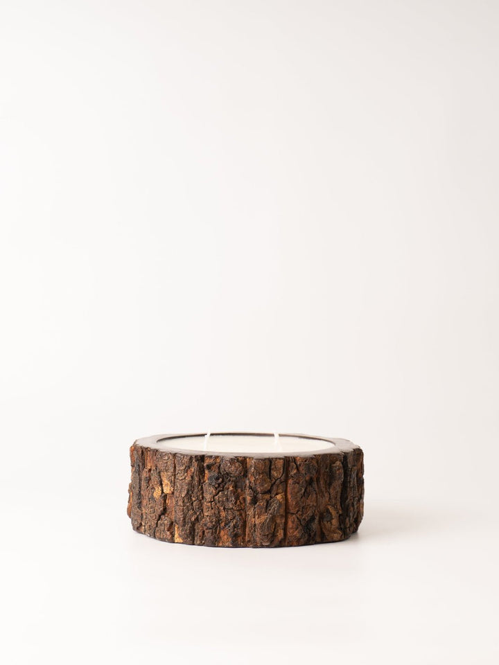 Medium Grapefruit Pine Tree Bark Candle - Heyday