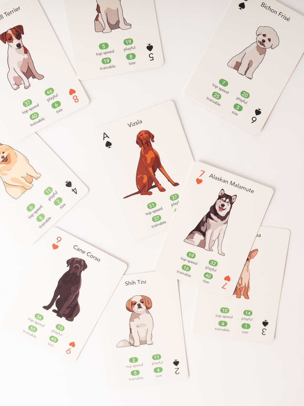 Paws + Play Playing Cards - Heyday