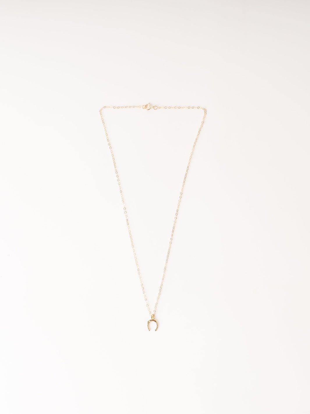 Petite Horseshoe Necklace - Heyday