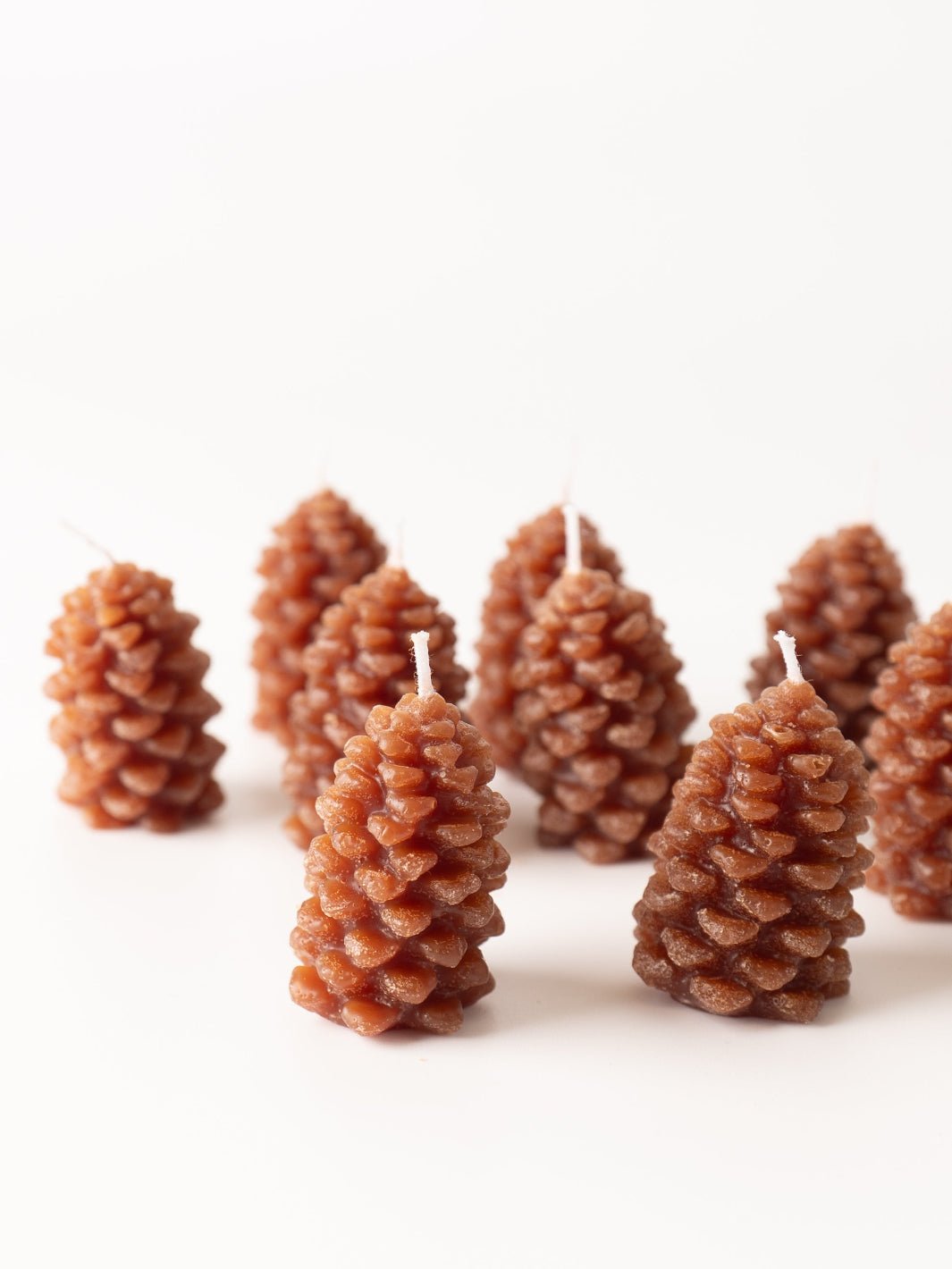 Pinecone Tealight Set - Heyday